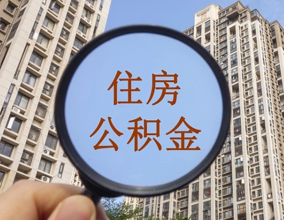 铁岭退休后查不到公积金明细了吗（退休后公积金查询不到原因）